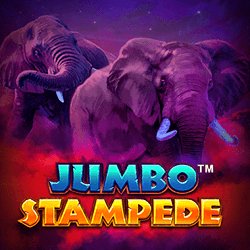 Videoslot review: Jumbo Stampede