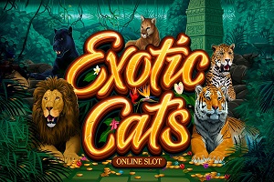 Exotic Cats videoslot review